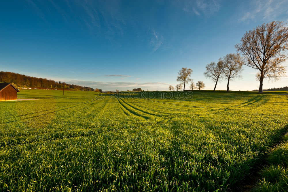 Similar – altes Fachwerkhaus mit Bäumen hinter einem blühenden Rapsfeld