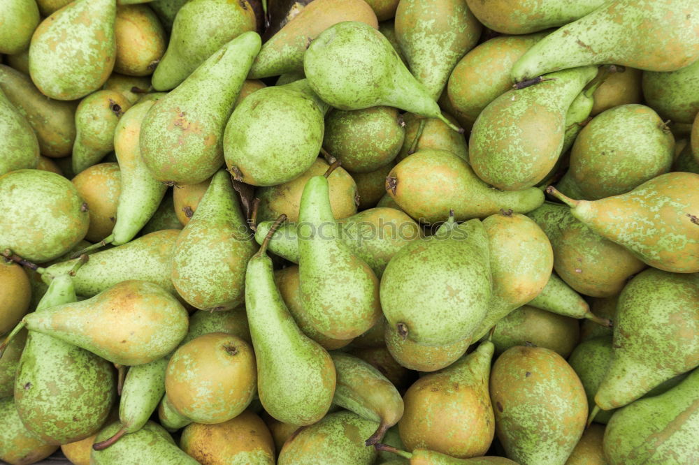 Similar – Image, Stock Photo gherkins Food Vegetable