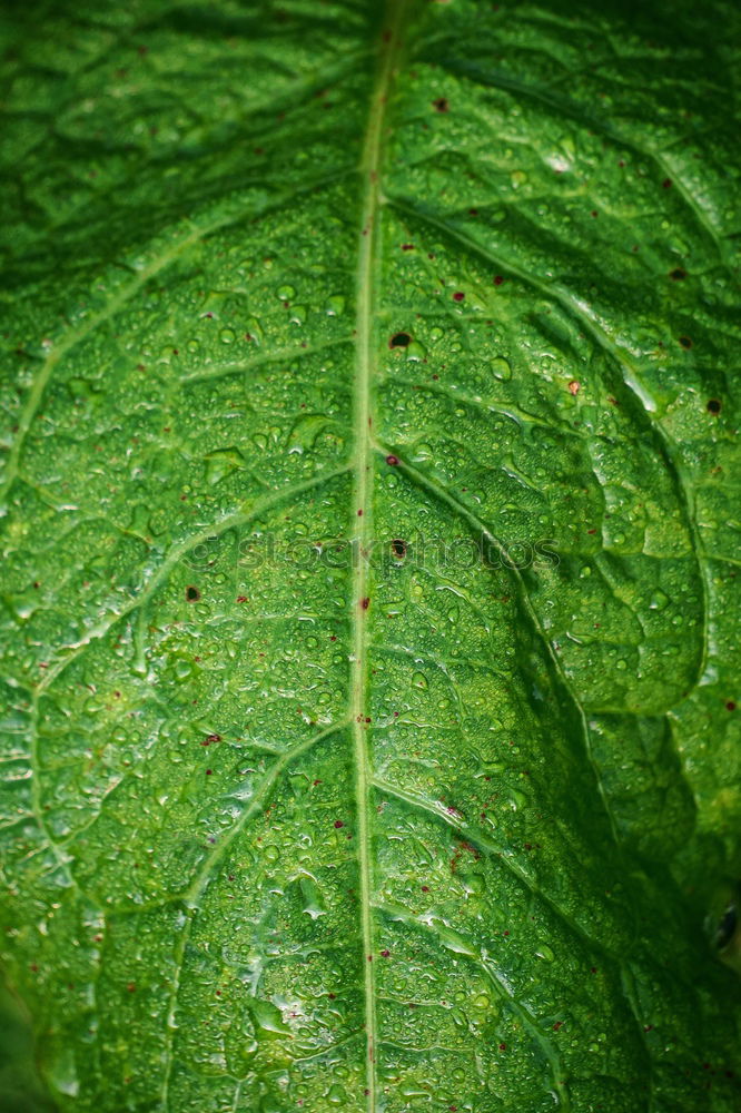 Similar – Water drop in the nature