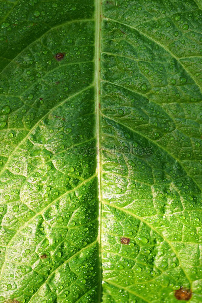 Similar – Water drop in the nature