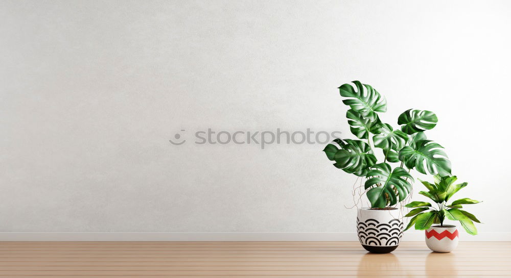 Similar – Image, Stock Photo green on white. Plant