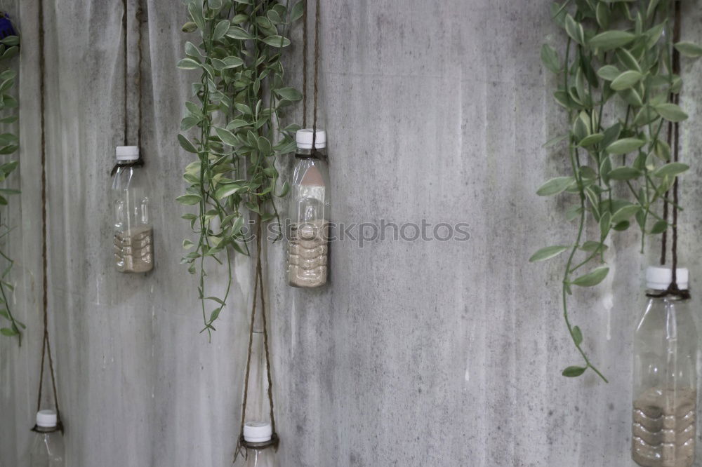 Similar – Image, Stock Photo sweep week Elements Earth