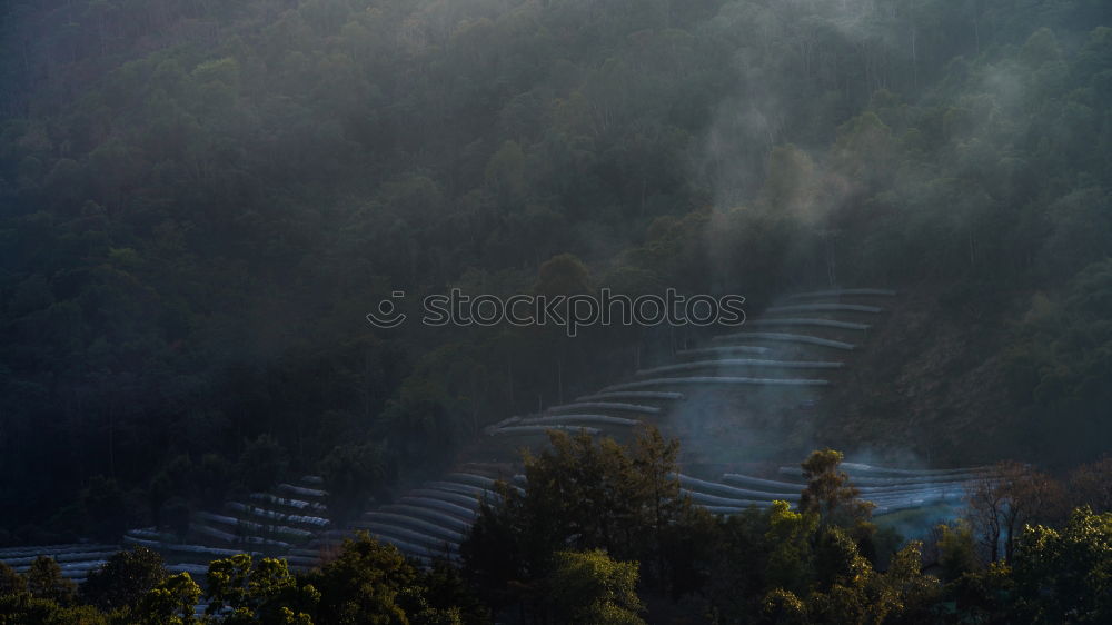 Similar – Image, Stock Photo Vineyards in autumn