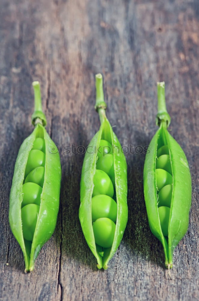 Similar – Image, Stock Photo Sugar peas in children’s hands