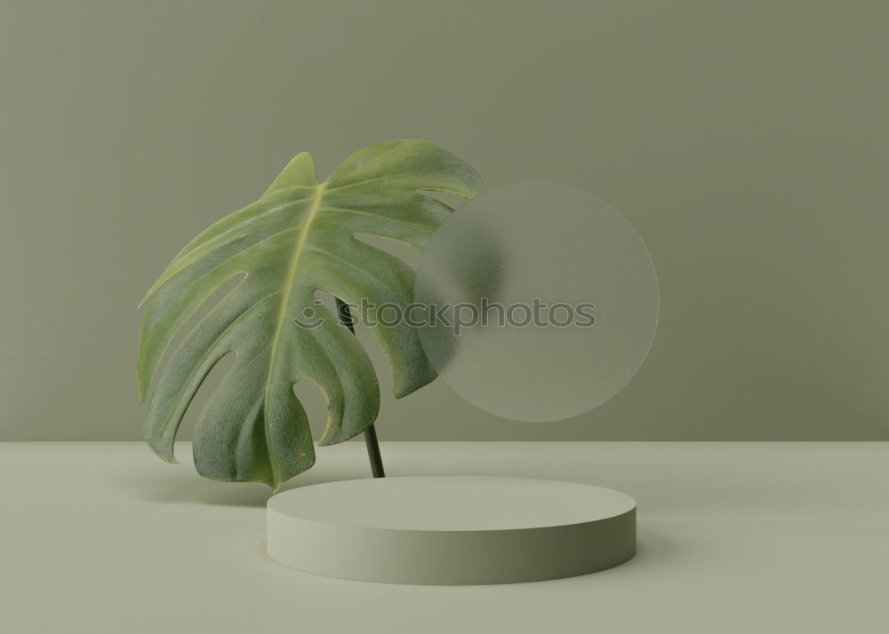 Similar – Image, Stock Photo lilies Plant Flower Leaf