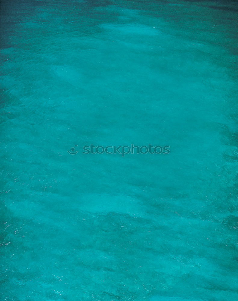 Similar – shark Beach Ocean Maldives