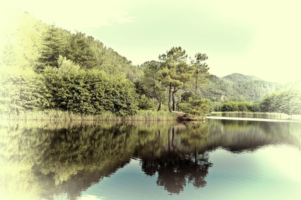 Similar – Foto Bild Italian lake Italien Wiese