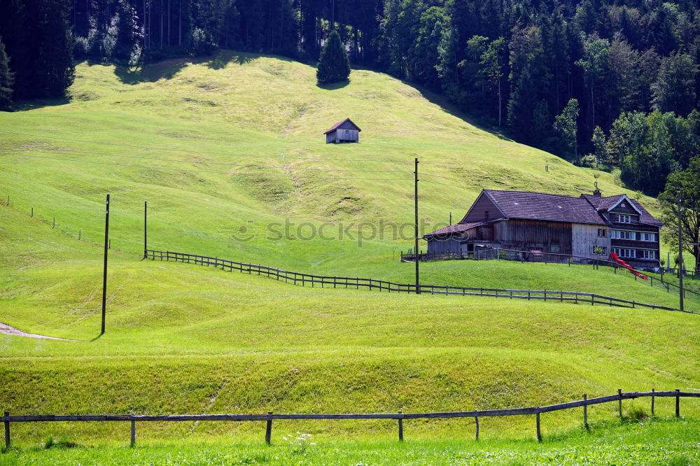 Similar – Arzl Umwelt Natur