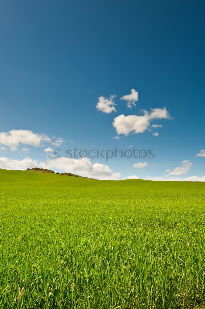 Similar – leichte steigung Wiese