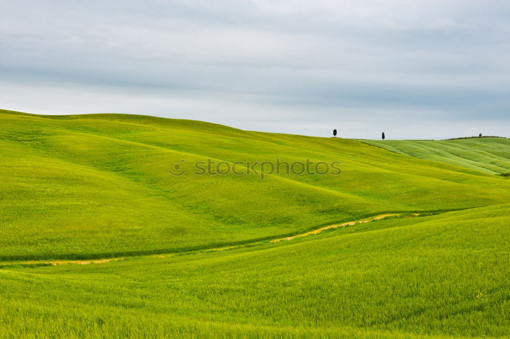 Similar – Image, Stock Photo Tuscany Harmonious Calm