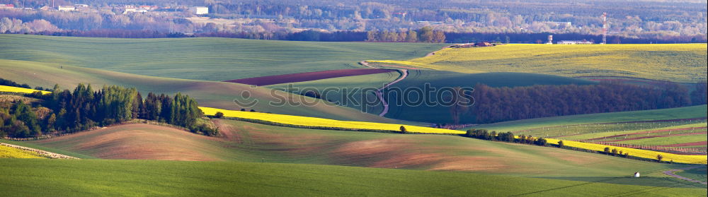 Similar – Foto Bild full-blown Blume