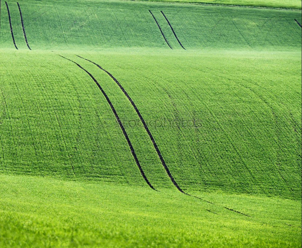 Similar – cyclist Bird’s-eye view