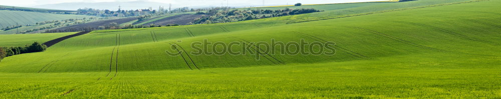 Similar – Misty hill Hill Fog Green