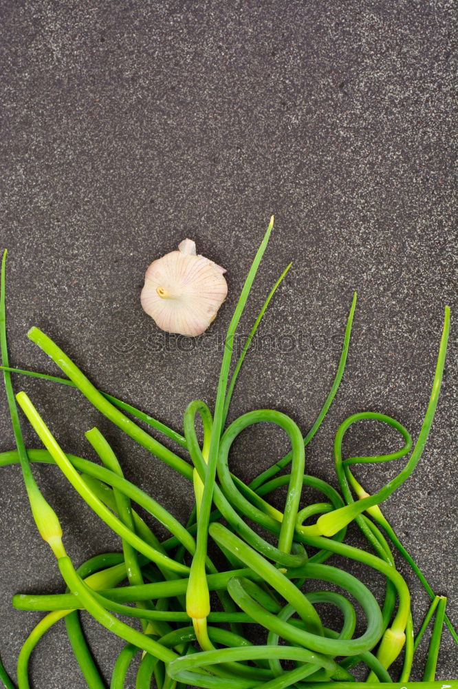 Image, Stock Photo chives Herbs and spices