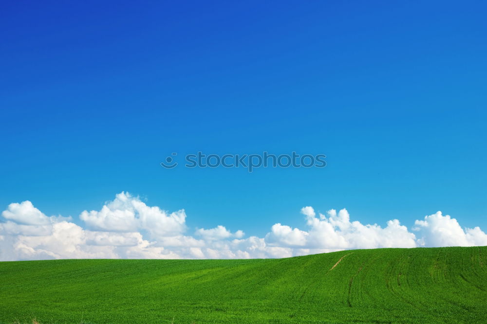 Similar – large green meadow_03