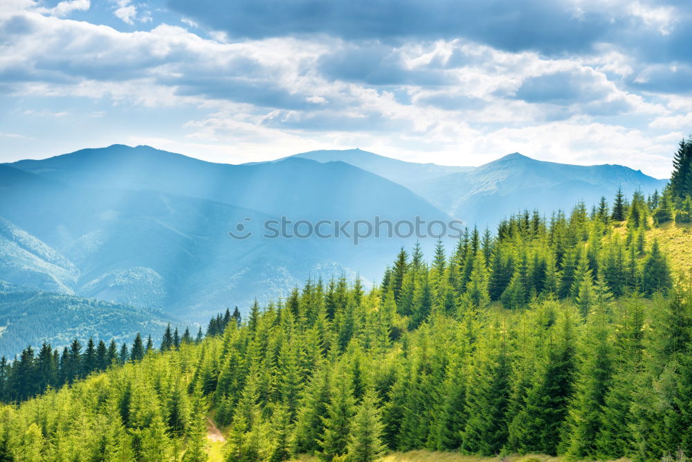 Similar – Image, Stock Photo Green sunny valley in mountains and hills