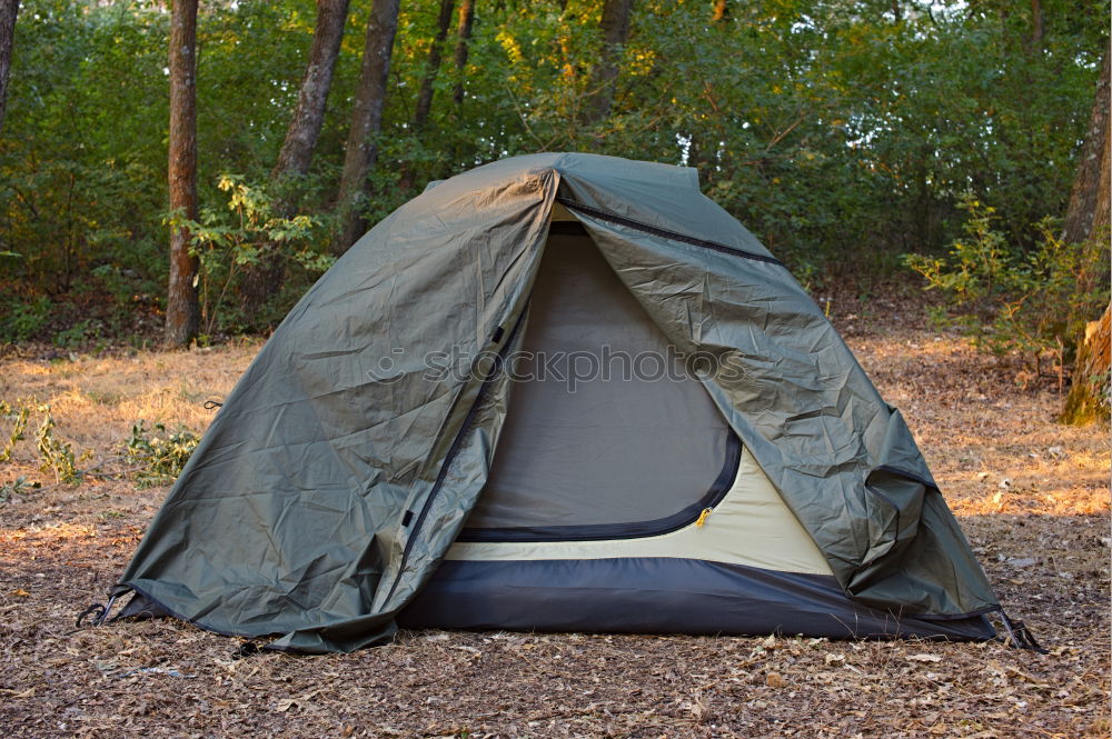 Similar – Orange tent in a pine forest