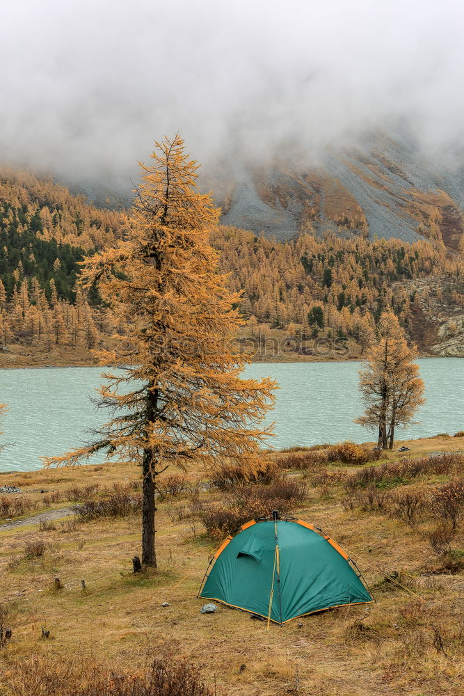 Similar – Image, Stock Photo Camping in summer is also no longer safe