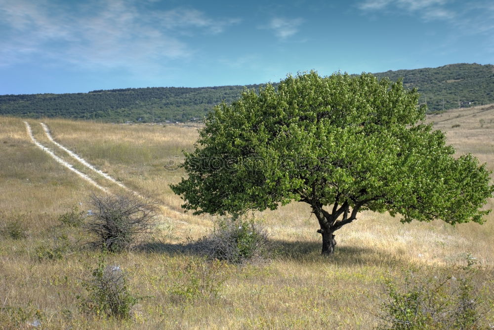 Similar – Image, Stock Photo Slag heap of the mining industry in the Mansfeld mining district at the end of a tree-lined country road