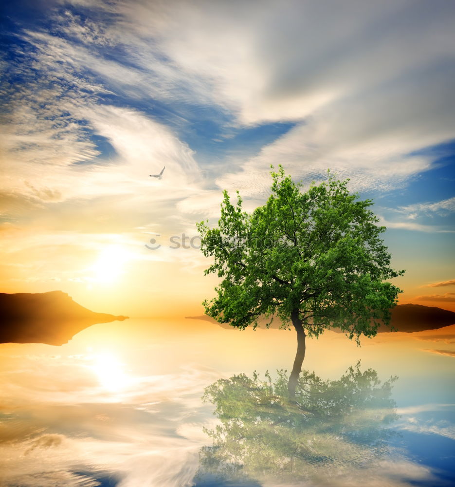 Similar – Image, Stock Photo Pond water with autumn leaves