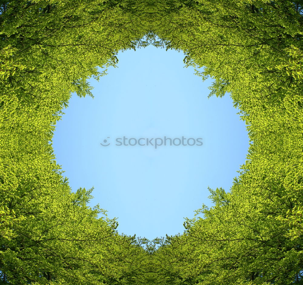 Similar – Image, Stock Photo Looking up in the beer garden