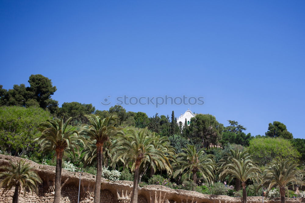 Similar – Image, Stock Photo cementerio Cloudless sky