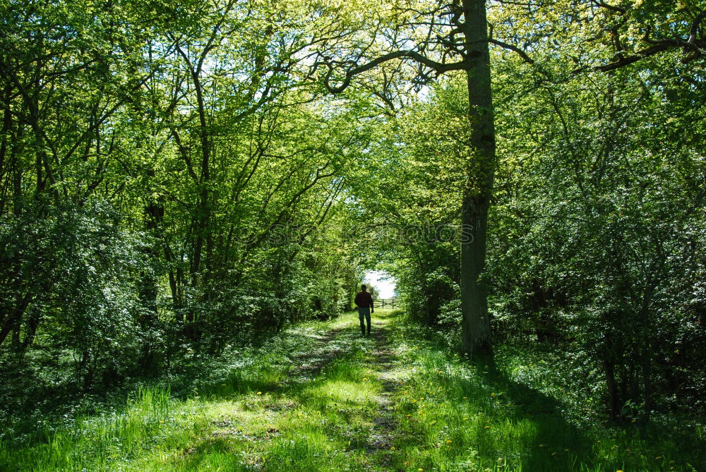 Similar – Foto Bild Obstordnung Umwelt Natur