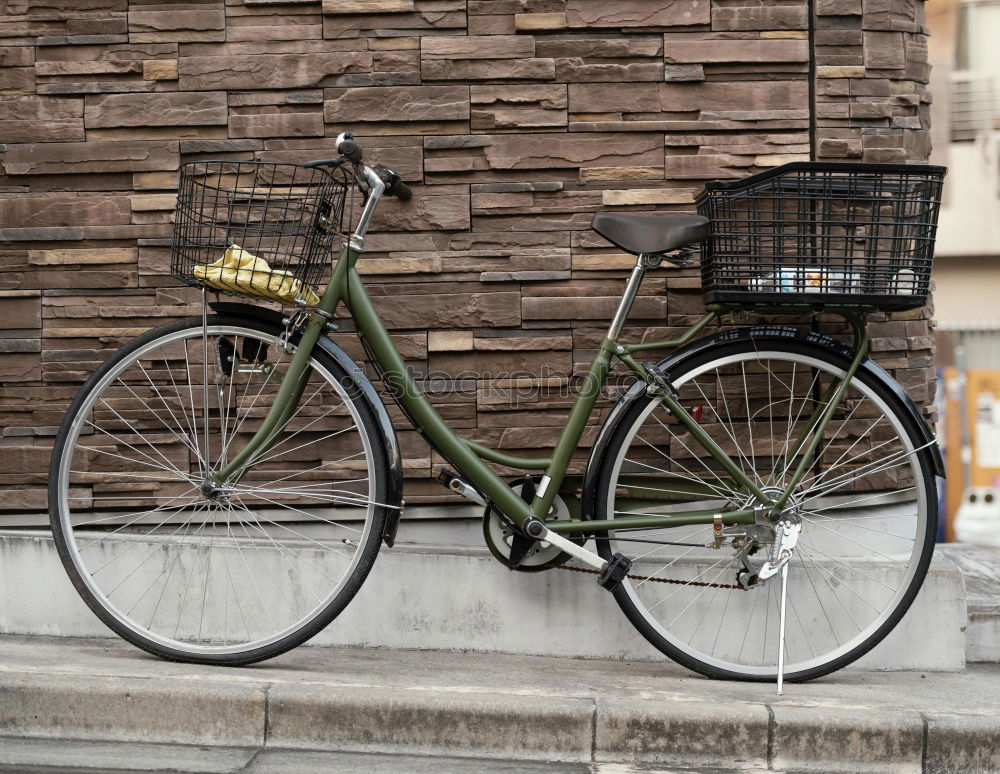 Similar – Image, Stock Photo Old ladies bike in summer in front of a green hedge on grey compound pavement in Oerlinghausen near Bielefeld in the Teutoburg Forest in East Westphalia-Lippe