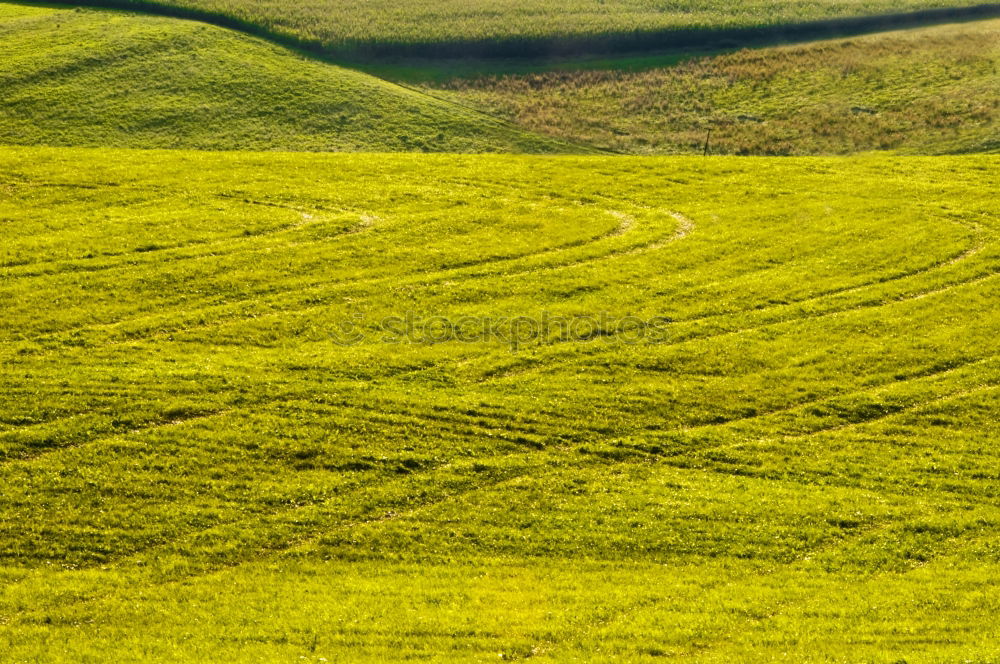 Similar – cyclist Bird’s-eye view