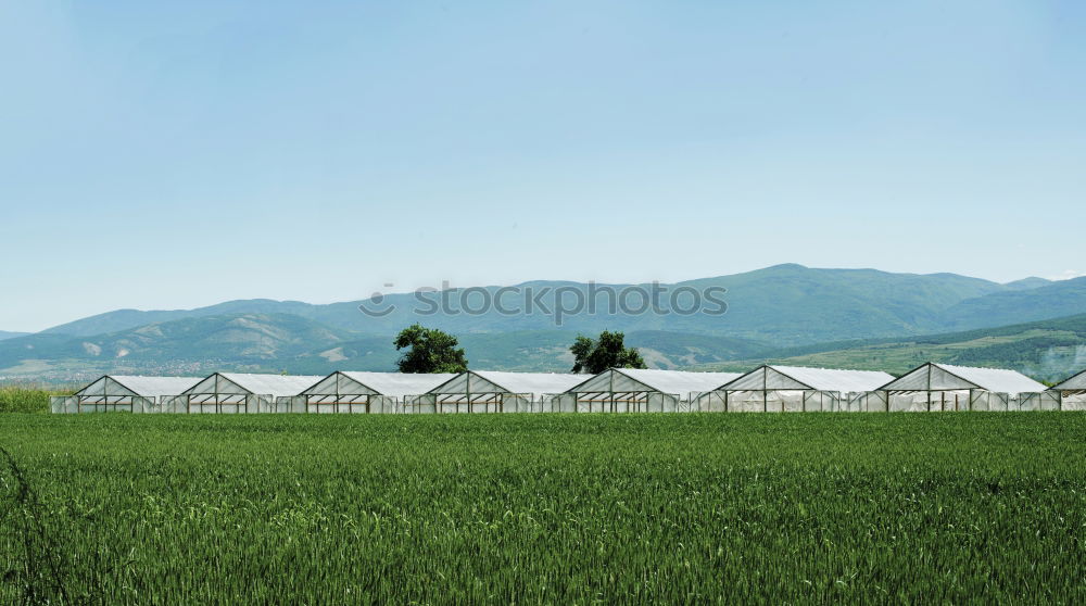 Image, Stock Photo agriculture