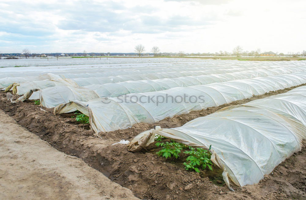 Similar – Greenhouse without plants