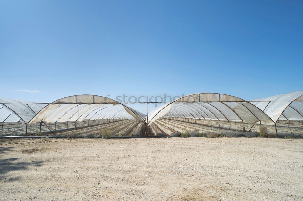 Similar – Image, Stock Photo agriculture