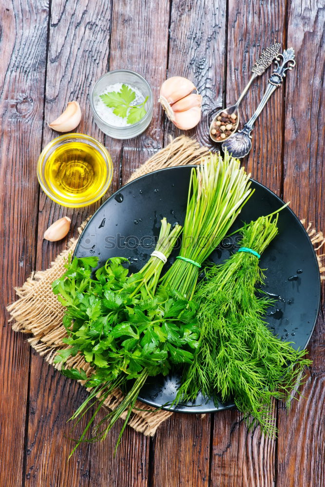 Similar – Image, Stock Photo Melissa leaf or lemon balm