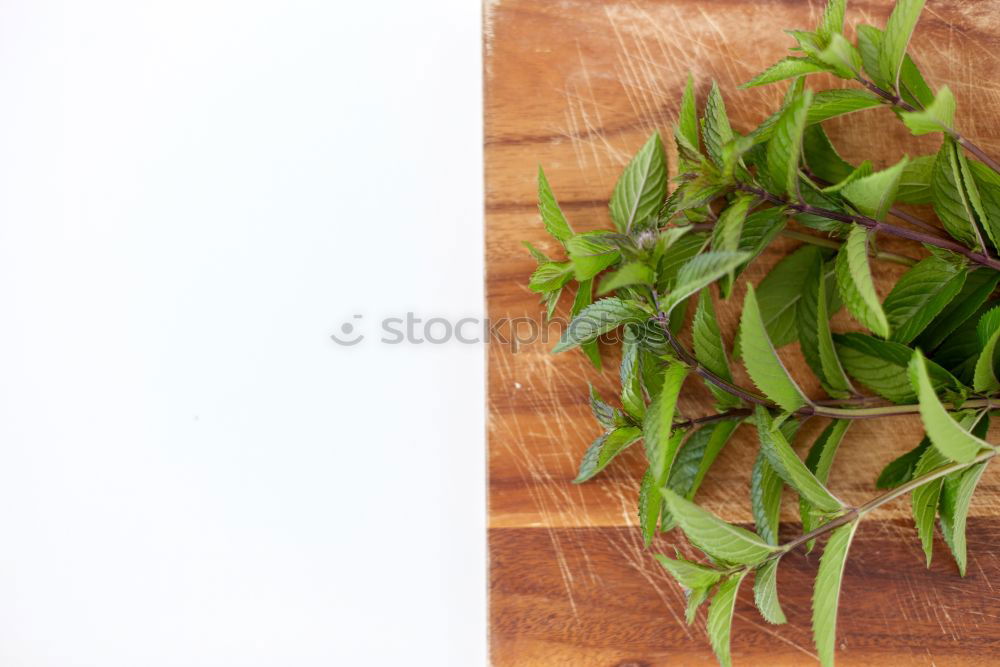 Similar – Image, Stock Photo thyme Thyme Bundle Bound