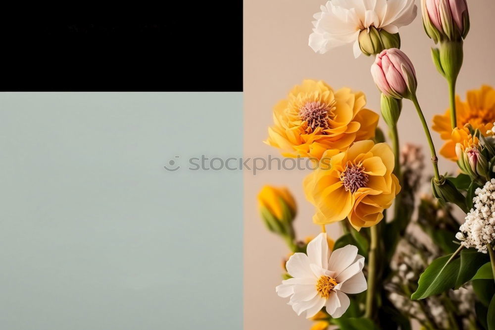 Similar – Image, Stock Photo BLÜMCHEN CHAIN Philosopher