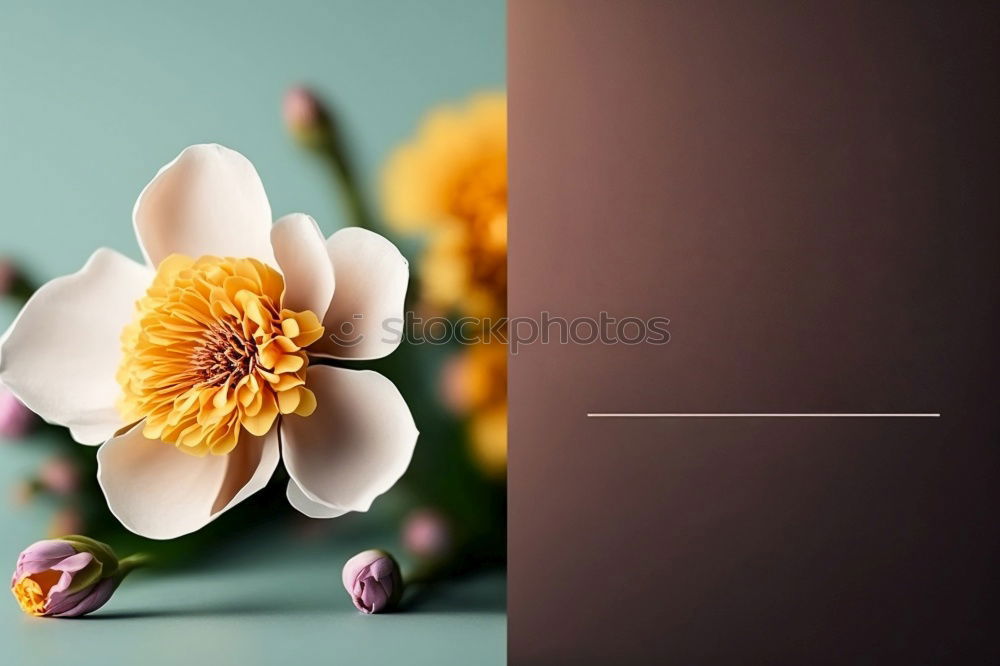 Similar – Image, Stock Photo Autumn flowers on dark wooden table