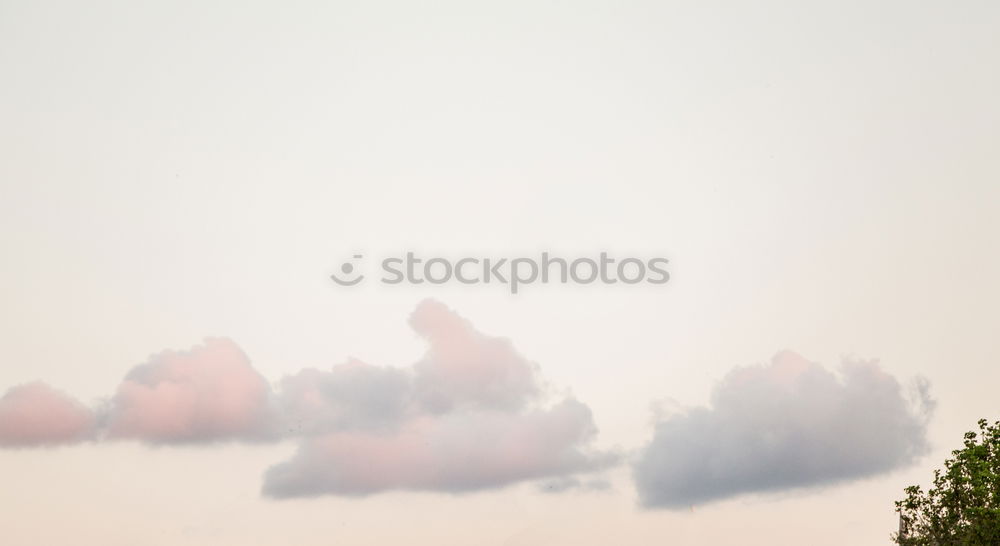 Similar – Image, Stock Photo Weightless