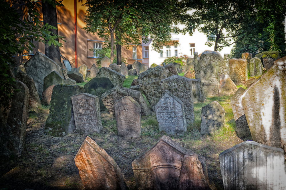 Similar – Jewish Cemetery, Prague