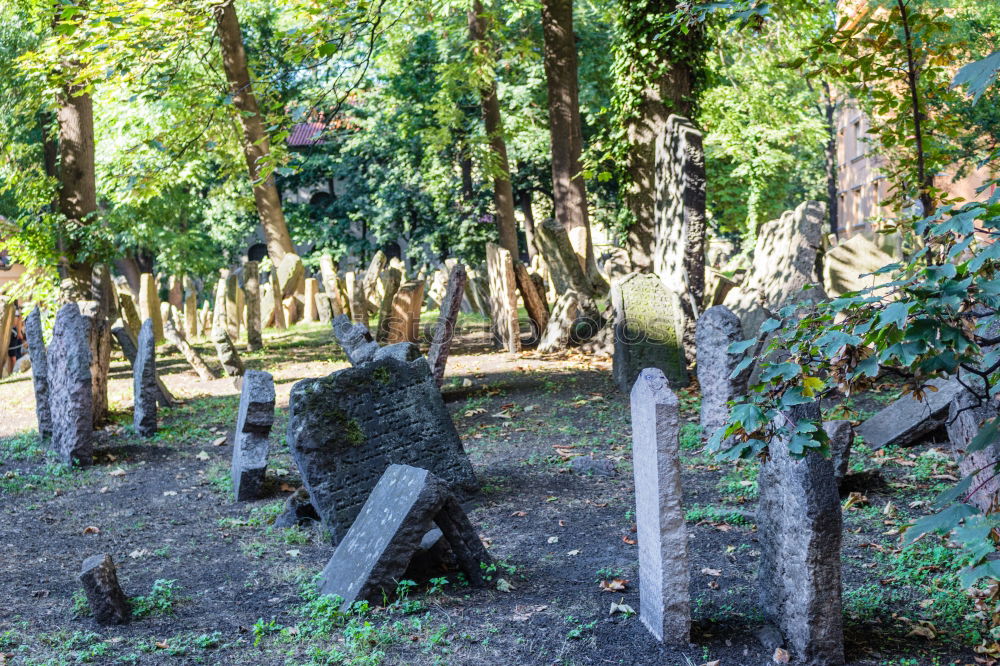 Similar – Image, Stock Photo green watering can at the cemetery