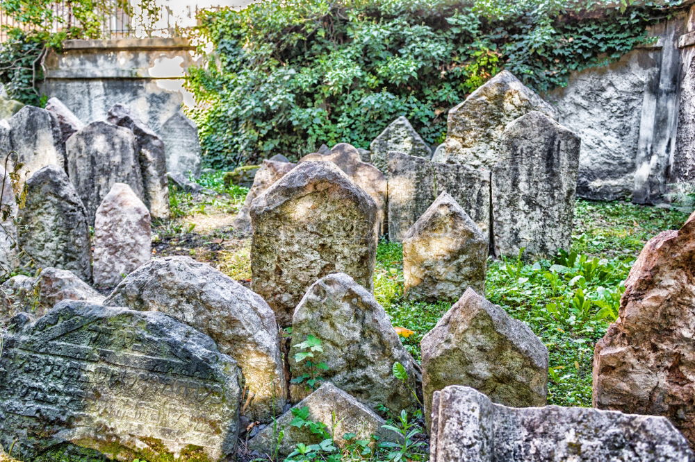 An old quiet graveyard in Macao, China