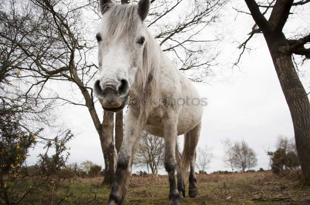 Similar – Image, Stock Photo Moldy Environment Nature