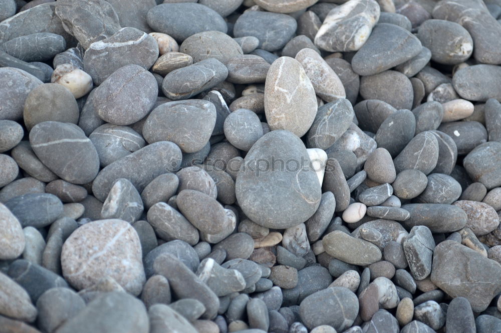 Similar – stones Pebble Gravel Beach