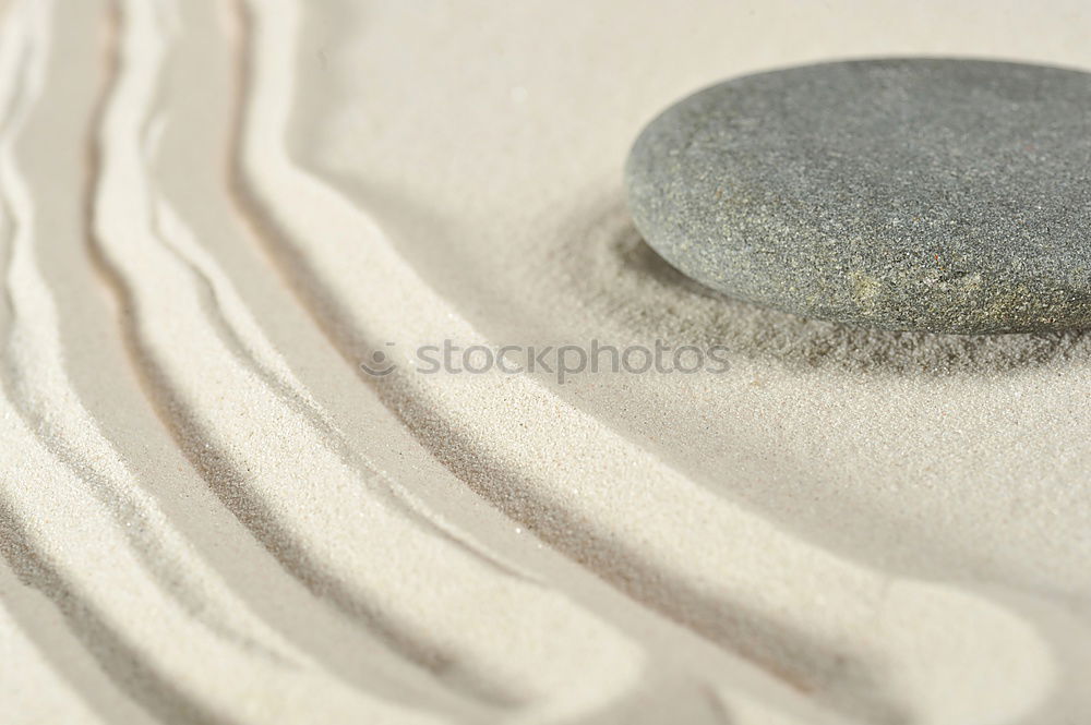 Foto Bild beach Strand Meer Fuß Sand