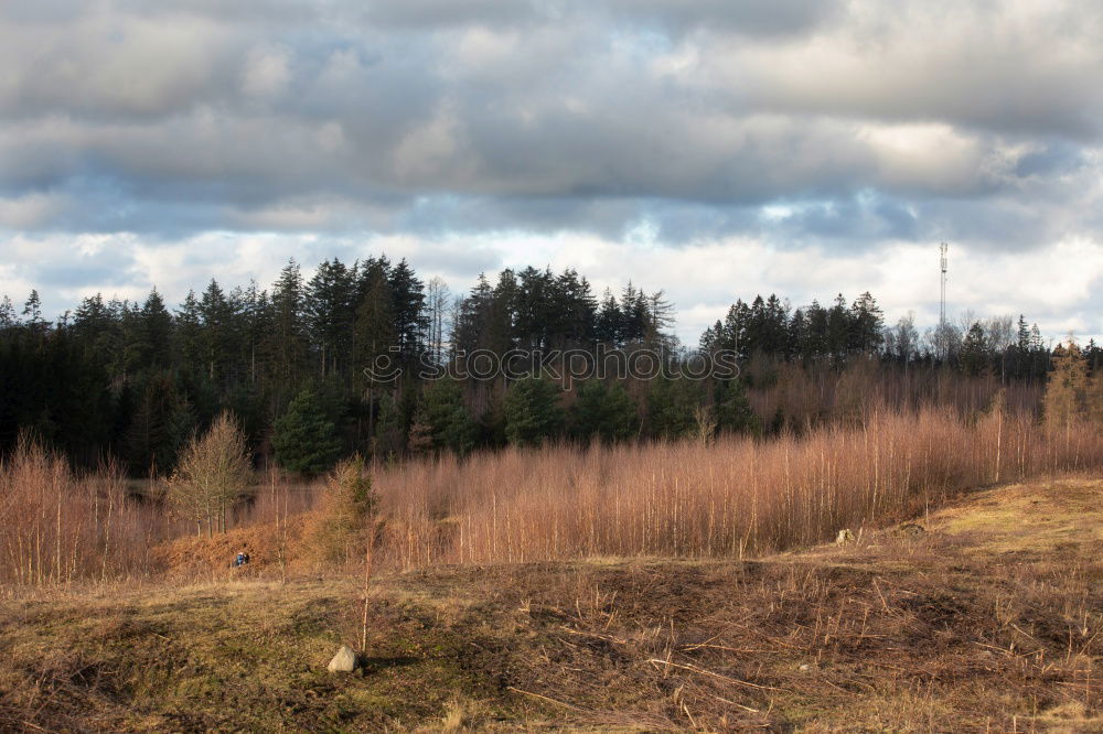 Similar – Image, Stock Photo Kraichgau. Nature