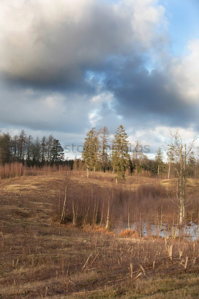 Similar – Image, Stock Photo dreary Far-off places