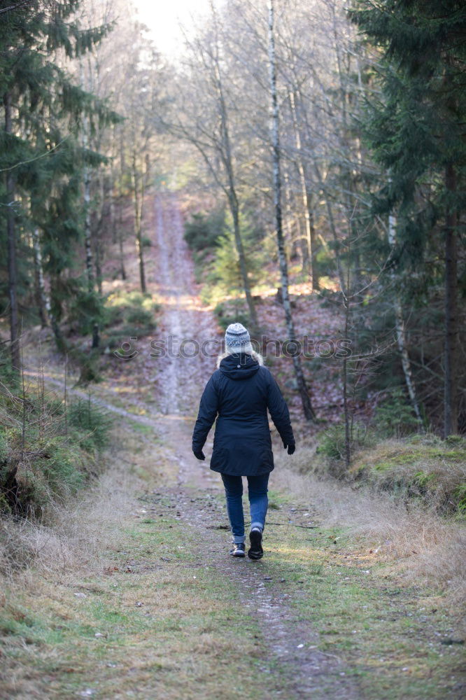 Similar – winter walk Woman Old