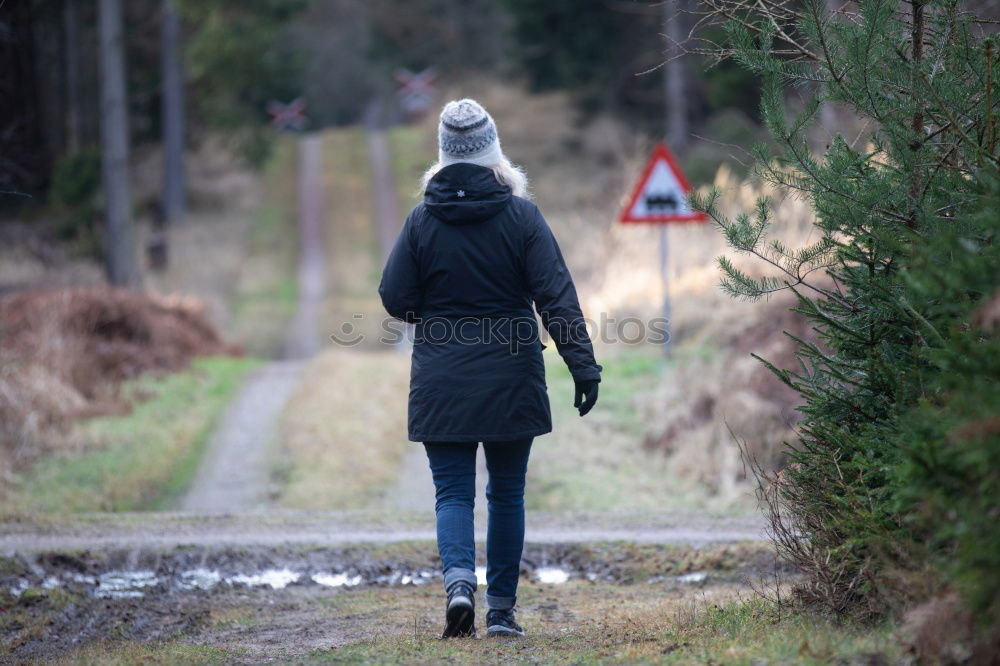 Similar – Grey cap in the forest