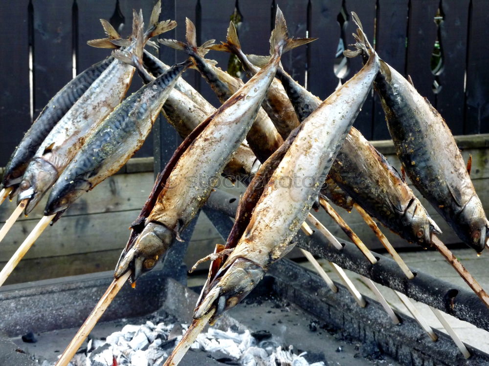 Similar – Grillfisch Fisch