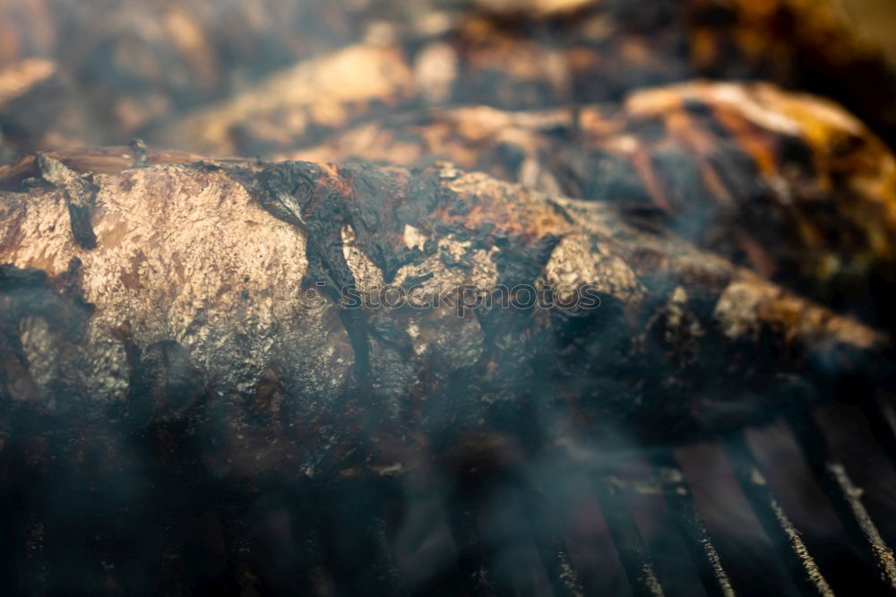 Similar – Gegrillte Sardinen aus der Nähe