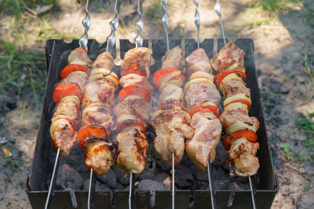 Similar – Image, Stock Photo some chicken?! Chicken